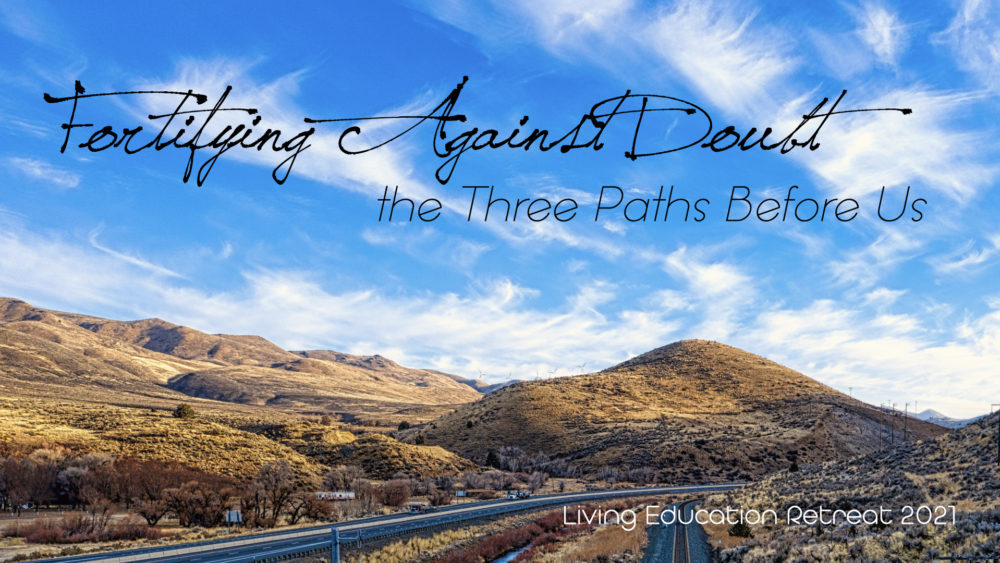 Fortifying Against Doubt: the Three Paths Before Us