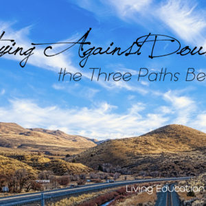 Fortifying Against Doubt: the Three Paths Before Us