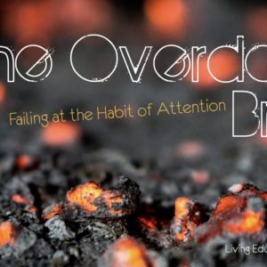 The Overdone Brain: Failing at the Habit of Attention